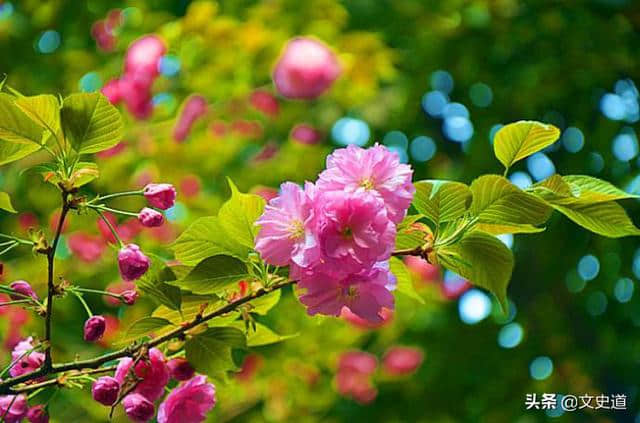 目前公认，最美的“春天”诗，出自“和尚”之手，至今无人超越！