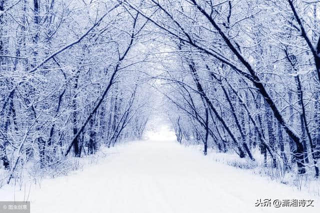 读诗‖五首描写冬雪的诗词，最喜欢那句“聒碎乡心梦不成”