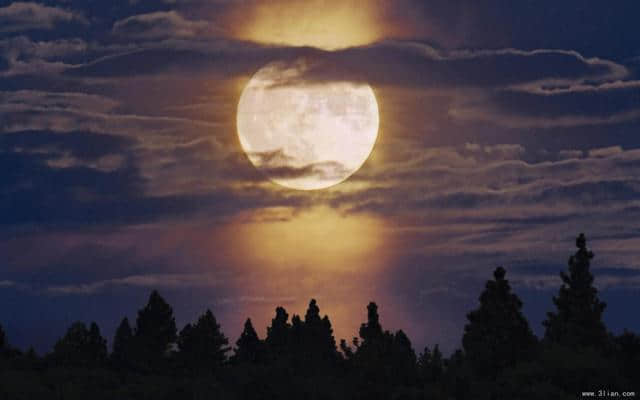 描写明月的绝美古诗词！海上生明月，天涯共此时。