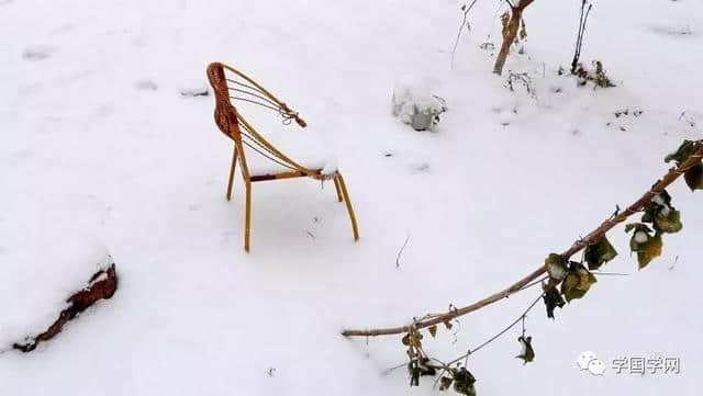 十首诗词，读懂冬天的美，雪的景