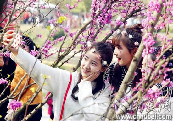 三峡大学桃花节展现“国际范”的“桃花韵”
