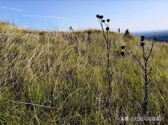 探访礼泉武将山唐建陵-----原来这里埋葬着这么曲折的故事