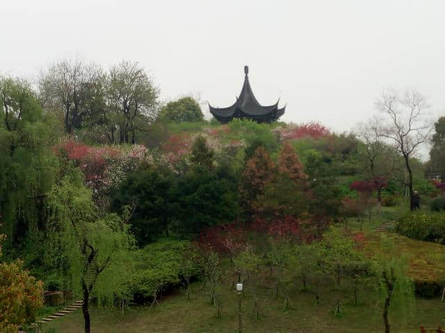 「花未眠•江苏的花」—桃花坞里桃花庵：泰州桃园