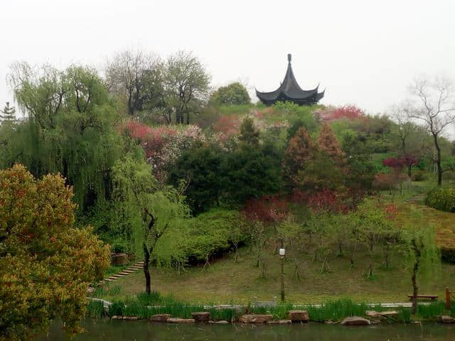 「花未眠•江苏的花」—桃花坞里桃花庵：泰州桃园