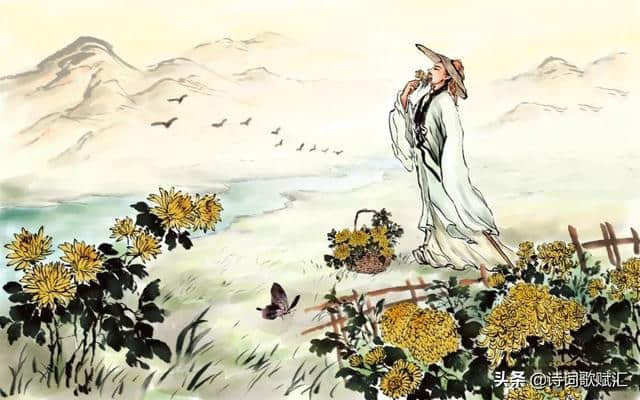 唐诗三百首丨孟浩然最经典的田园五律诗，恬静惬意，可谓诗中极品