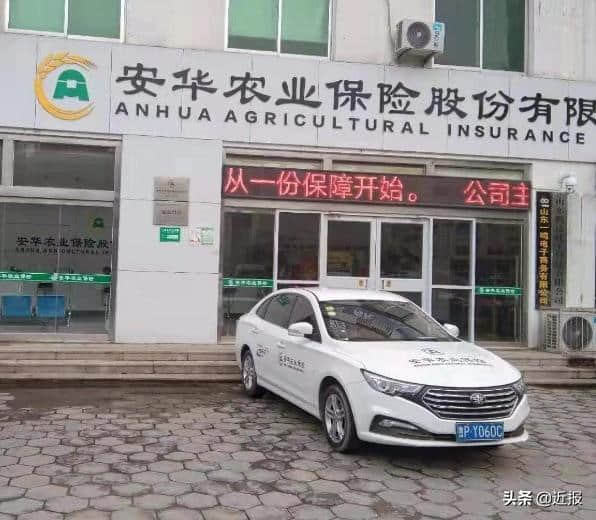 安华农业保险山东分公司总经理张丽华违法违规受处罚
