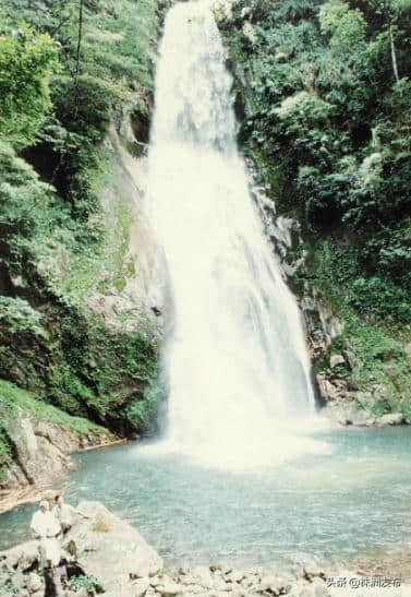 1992年，桃源洞获批为株洲首个国家森林公园