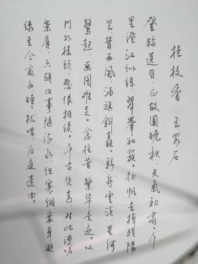 每周一篇钢笔字，王安石《桂枝香》手写抄诗词笔友钢笔书法欣赏