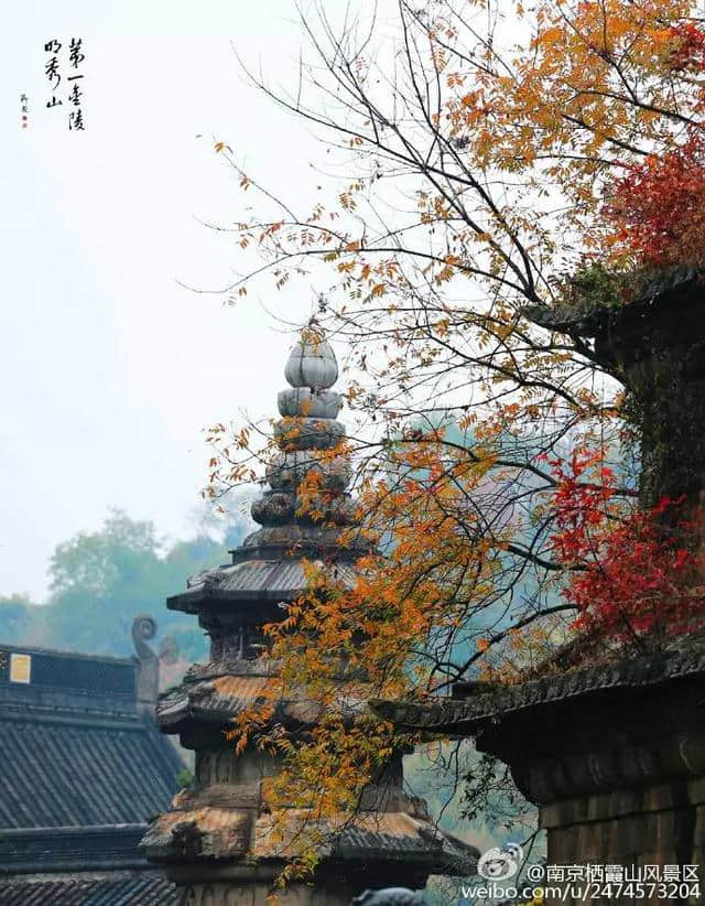 陪伴南京人一千多年的栖霞寺，竟然还藏着这么多玩法！