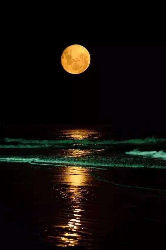 今日中秋节，世界上最美的月亮送给你！中秋有你，月更圆
