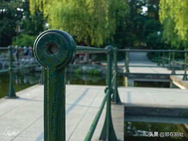花港观鱼的锦鲤：蒋庄，杭州四大名庄之一，人少幽静袖珍，免门票