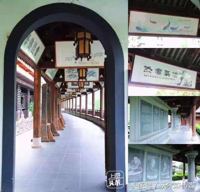 上海普陀私藏了一座“绝美古镇”，乘地铁就能直达！