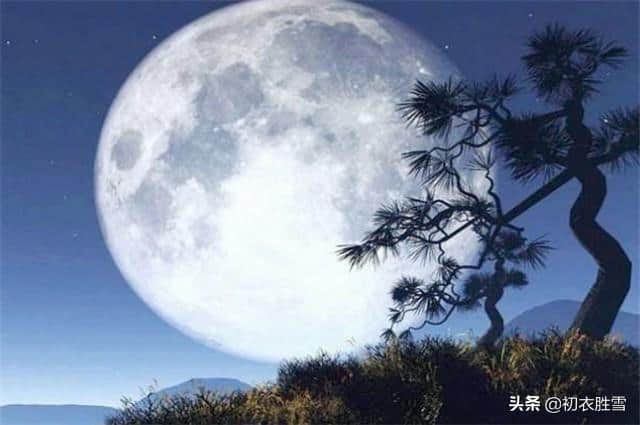 中秋读诗：躺在唐朝最美的月光里，赏读张九龄的海上生明月