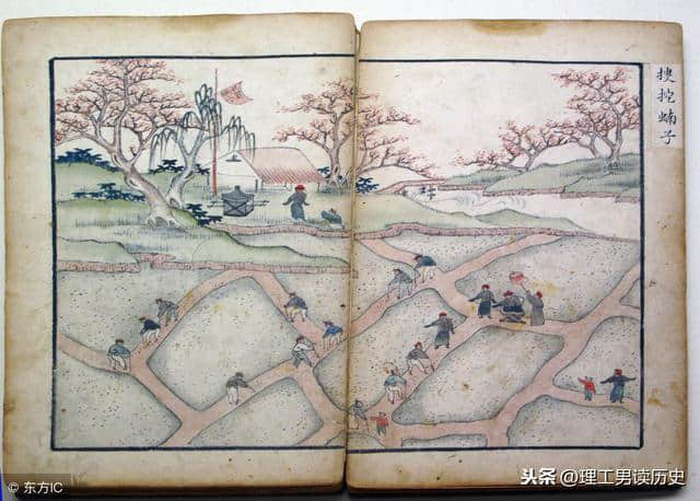 唐朝蝗灾不是中国古代历史上最严重的，但灭蝗方面开了一个好头
