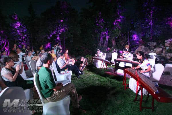 美妙之夜 私家花园办草坪音乐会
