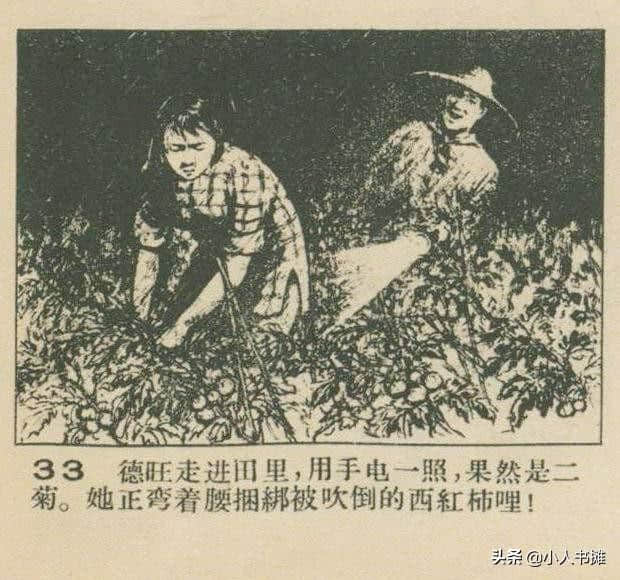 大菊和二菊-选自1957年11月《连环画报》第二十二期 张白羽 绘
