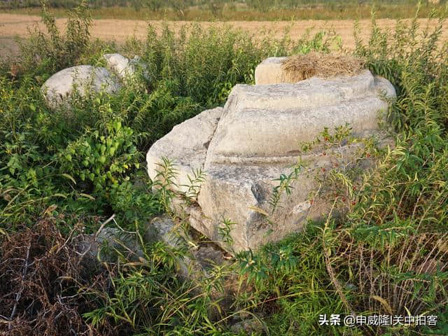 唐穆宗光陵：神道石刻，散落田野