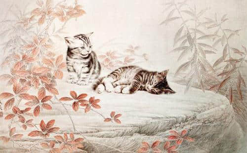 朝慵午倦谁相伴，猫枕桃笙苦竹床丨关于猫儿的十首诗词