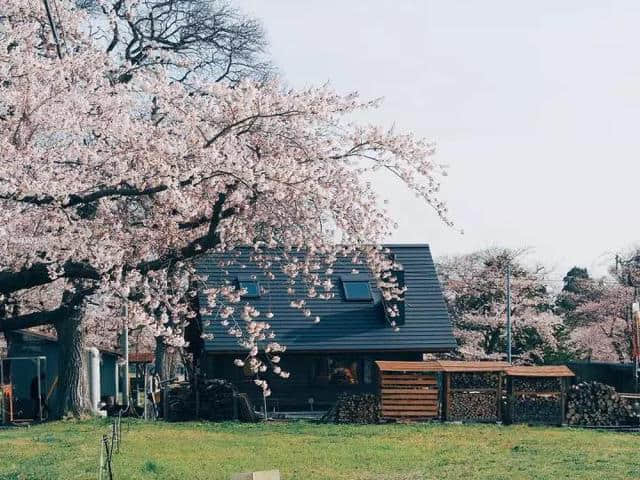 日本的归田园居，这家人把这里的四季都藏进了家里