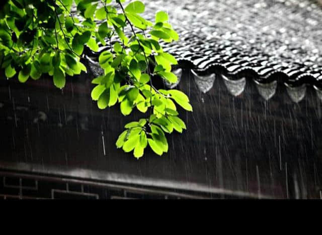 原创：情诗《下不完的梅子雨》，夏天来了，雨却总也不停