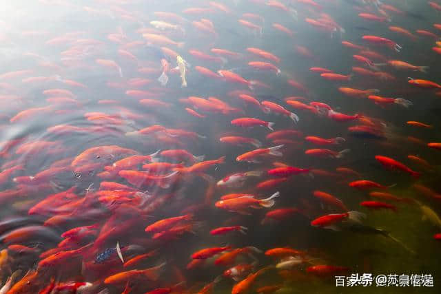湖北宜昌某县市 此景是当地一绝 泉水停了 拍拍巴掌水会应声而出