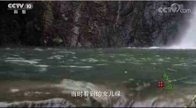仙岩景区央视首秀，一起去梅雨潭，追忆那“忘不了的绿”吧！