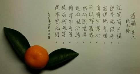 诗人借赞颂丹橘，示高尚品质，张九龄《感遇·其二》深度翻译赏析