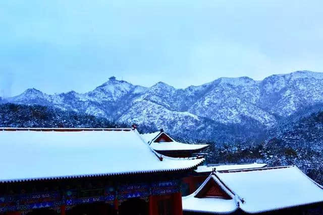 里口山中广福寺—雪景都是那么的禅意