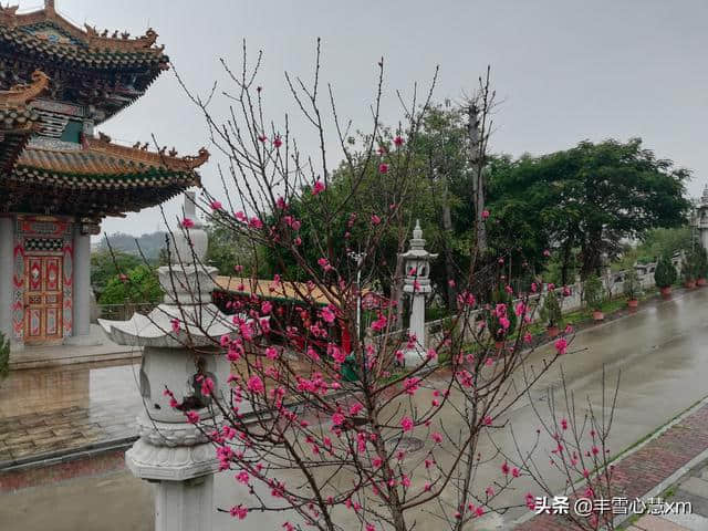 杜鹃花开的季节----雨中游同安梵天寺、梅山寺