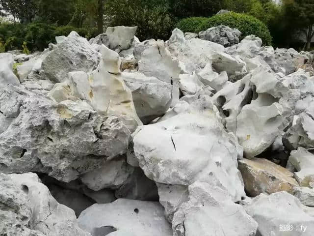 太湖石，大自然的巧夺天工