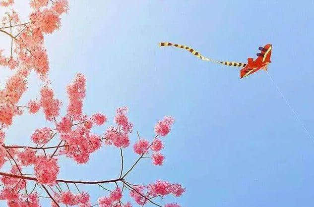 【诗词鉴赏】又是一年春风暖 忙趁东风放纸鸢，古诗词里的风筝！