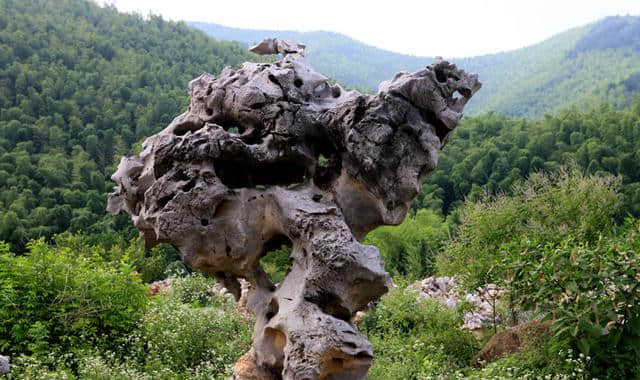 太湖石是皇家园林的布景石材，大自然鬼斧神工，有很高的观赏价值
