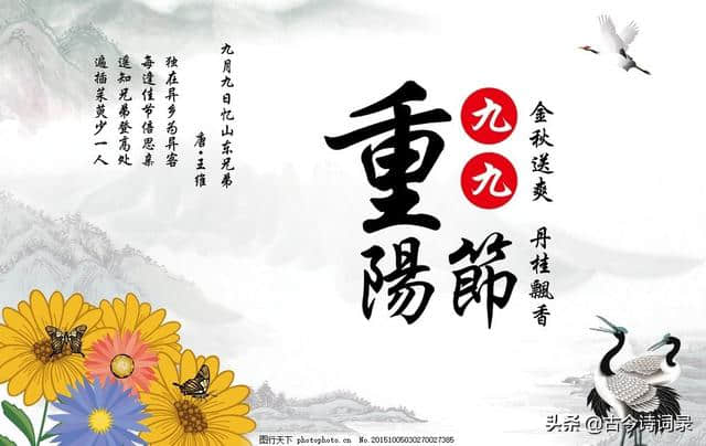 九月九，迎重阳，精选48首有关写重阳节的诗词，让我们一起来欣赏