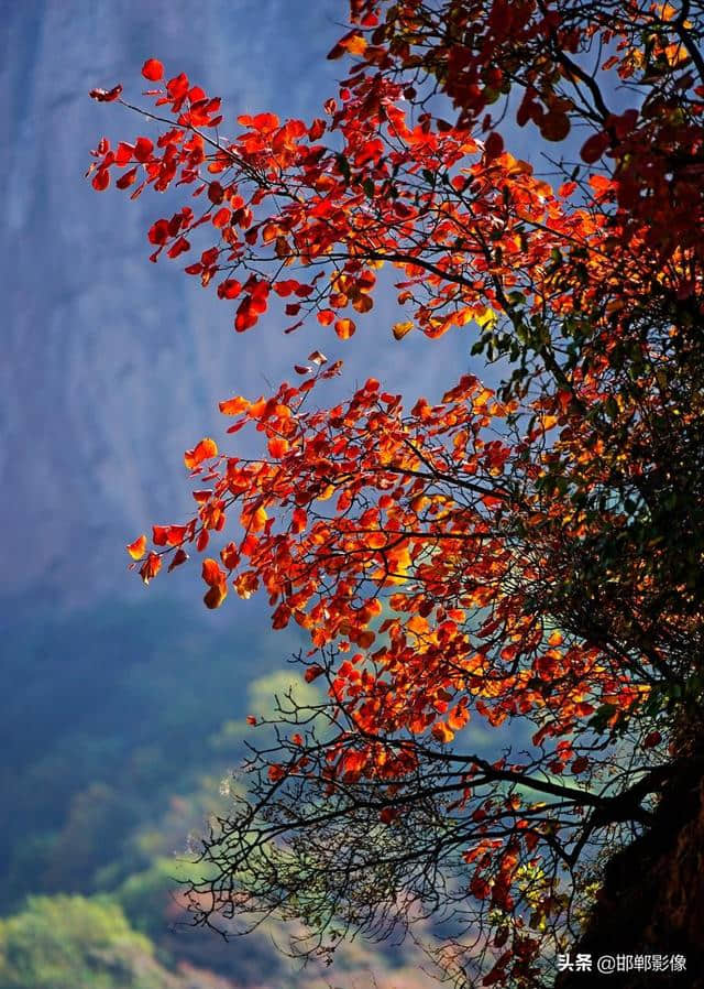最爱太行山那一抹红——四方山旅游风景区掠影
