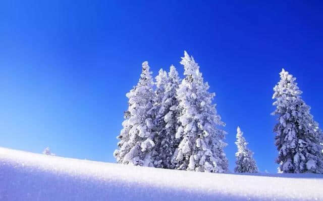 「今天小雪」15首描写雪的古诗词，你知道几首？
