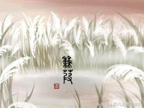 诗经有言：所谓伊人，在水一方