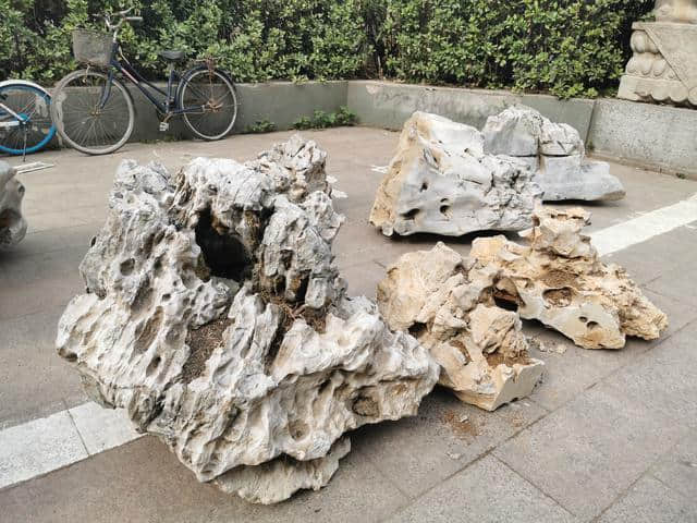碧沙岗公园的太湖石，形态各异，造型精美