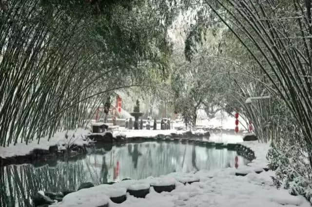 雪已至冬未隆 竹泉村中踏雪行