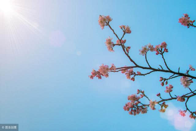 记住这些描写春天的诗句，这个春天你也能够出口成诗！