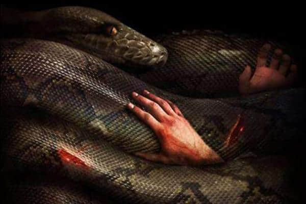关于蟒蛇的十部恐怖电影排名 最经典的蟒蛇电影