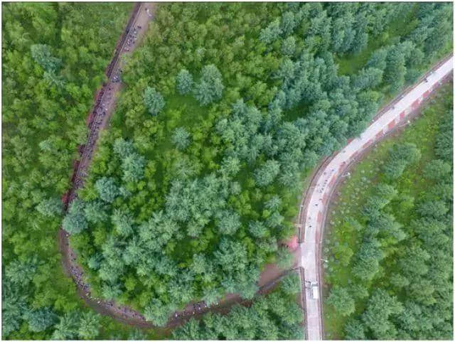 改革开放40年：“神州第一林”见证中国式绿色变迁