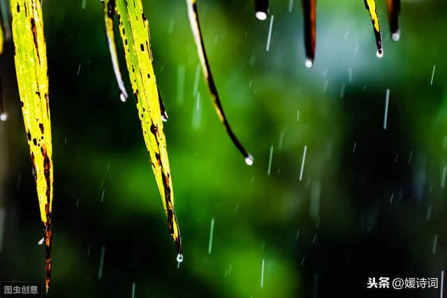 人们常常赞美春雨，春雨的诗句你知道多少，这几句中有你喜欢的吗