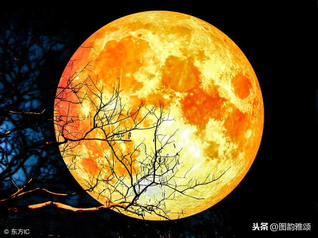 诗词｜李白20首有关月亮的诗，首首经典！
