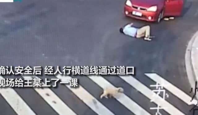 人不如狗！男子横穿马路被小车撞到，一旁小狗走斑马线现场上课