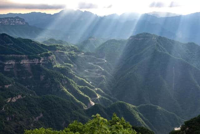 森林、清溪、负氧离子，王屋山带你避暑云海间，尽享夏日清凉