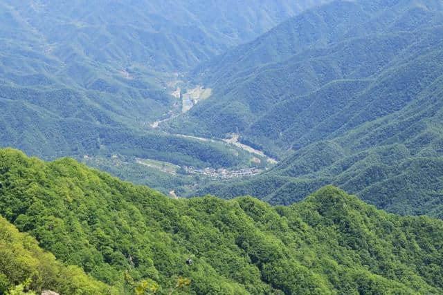 森林、清溪、负氧离子，王屋山带你避暑云海间，尽享夏日清凉