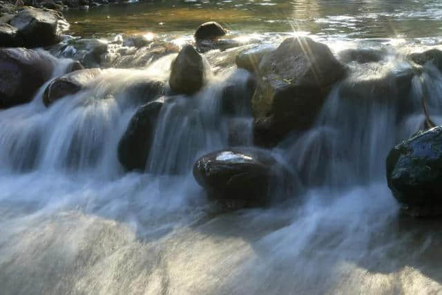 森林、清溪、负氧离子，王屋山带你避暑云海间，尽享夏日清凉