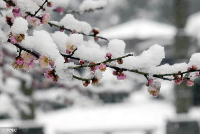 中国历史上关于雪的典故，你知道多少？