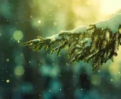 下雪了，这些关于雪的诗词你都知道吗？
