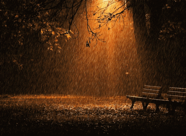 秋雨是诗，诗里有秋雨